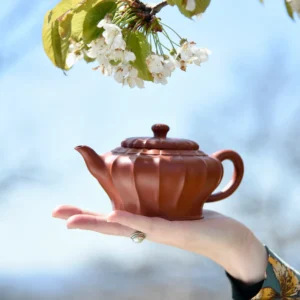Yixing Lotus Flower Teapot